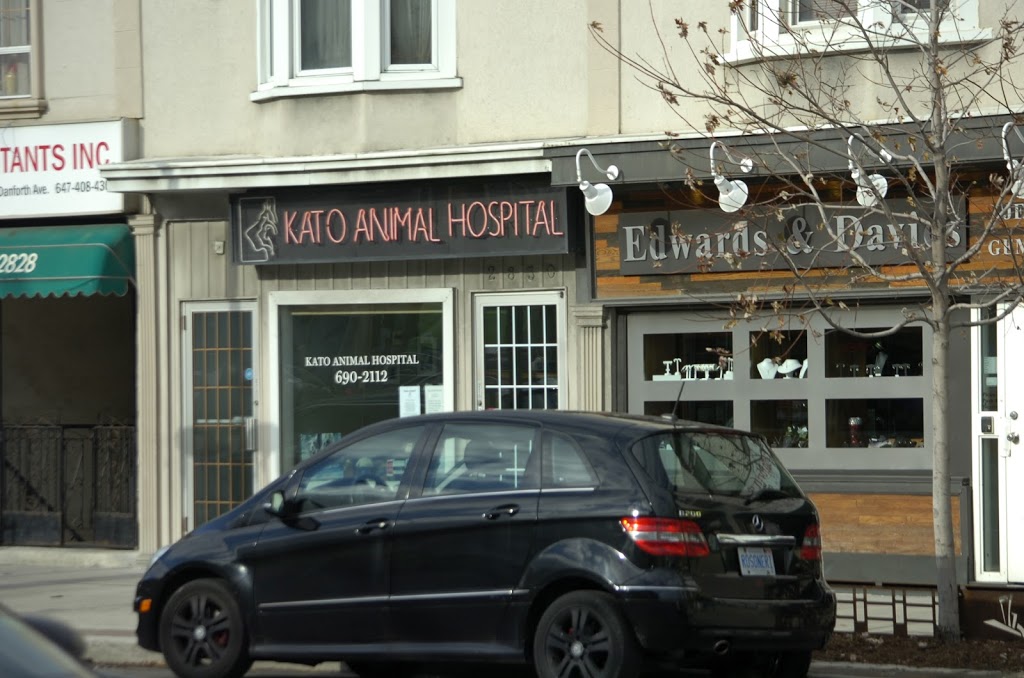 Kato Animal Hospital | 2830 Danforth Ave, Toronto, ON M4C 1M1, Canada | Phone: (416) 690-2112