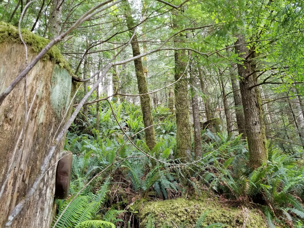 Iris Griffith Field Studies & Interpretive Centre | 15200 Sunshine Coast Hwy, Madeira Park, BC V0N 2H0, Canada | Phone: (604) 883-9201