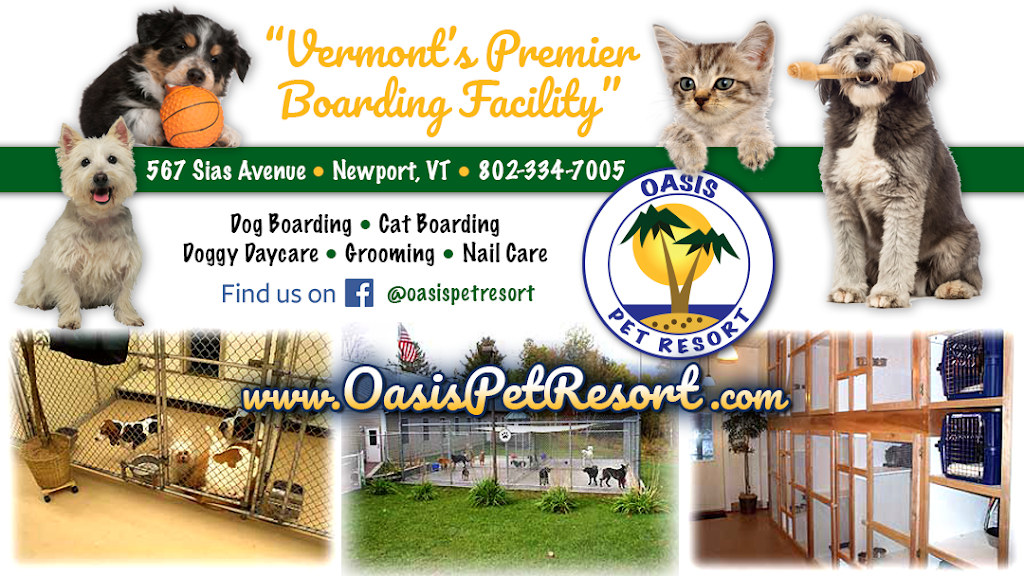 Oasis Pet Resort | 567 Sias Ave, Newport, VT 05855, USA | Phone: (802) 334-7005