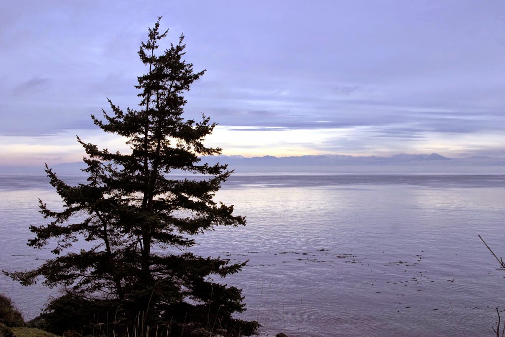 Lime Kiln Lighthouse | Lighthouse Rd, Friday Harbor, WA 98250, USA | Phone: (360) 378-2044