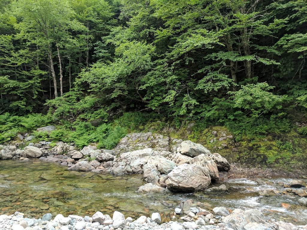 Wolfe River Gorge - UNESCO Fundy Biosphere Reserve | Alma Parish, NB E4H, Canada | Phone: (506) 874-3272