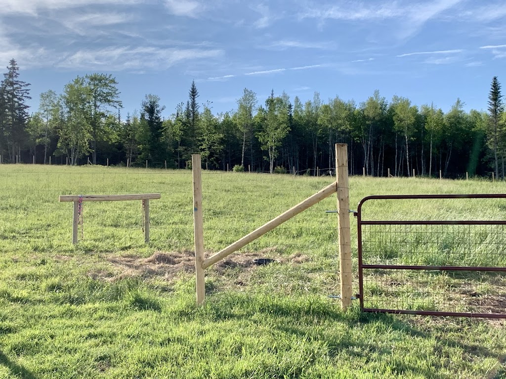 Little Ranch Farm | 601 Hwy 236, South Maitland, NS B0N 2H0, Canada | Phone: (204) 901-2745