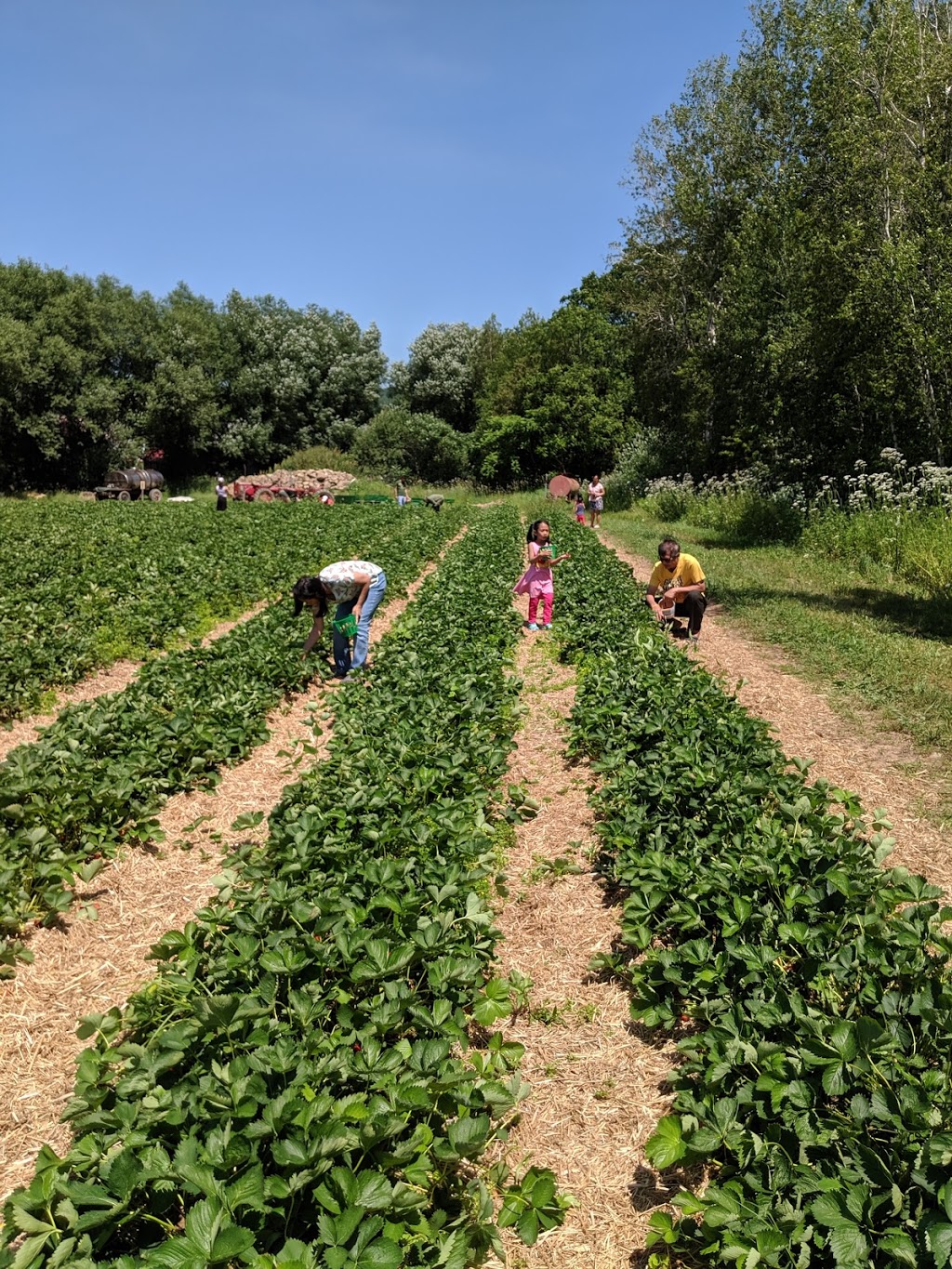 Potager Mont-Rouge Halte Gourmande | Verger & Boutique | Orchard | 154 Rang de la Montagne, Rougemont, QC J0L 1M0, Canada | Phone: (844) 947-6663