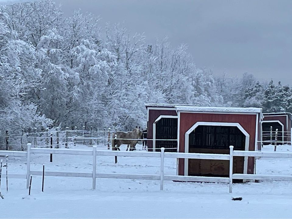 Ferme Stay | 1551 Rang St Louis, Notre-Dame-du-Mont-Carmel, QC G0X 3J0, Canada | Phone: (819) 852-8961