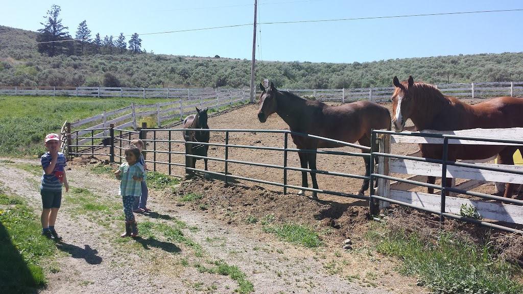 Blackwell Dairy Farm | 7000 Blackwell Rd, Kamloops, BC V2C 6V7, Canada | Phone: (250) 573-4747