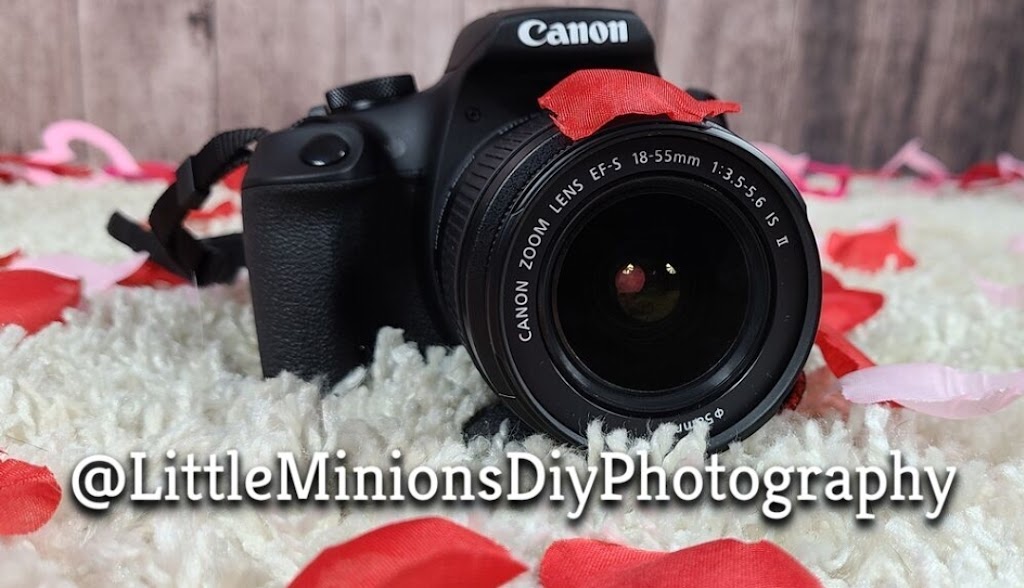 Littleminionsphotography | 66 Greendale Dr, Hamilton, ON L9C 5Z4, Canada | Phone: (289) 212-0007