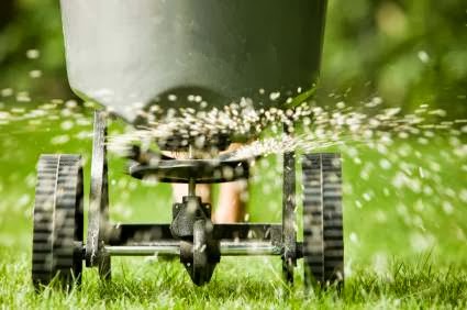 Grassboys Lawn Maintenance | 20839 Yeomans Crescent, Langley City, BC V1M 2P8, Canada | Phone: (604) 802-2697