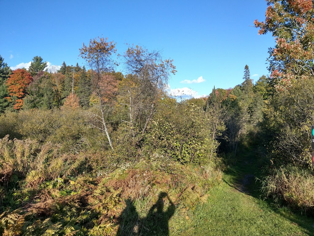 P8 - Chelsea | 331 Chemin du Lac Meech, Chelsea, QC J9B 1H9, Canada