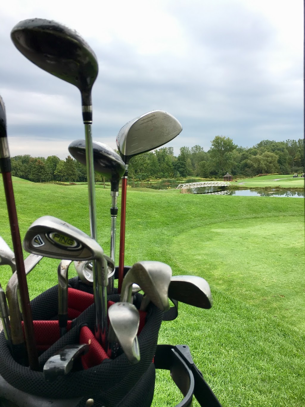 CarlyGolf | 2321 Shantz Station Rd, Maryhill, ON N0B 2B0, Canada | Phone: (519) 574-4554