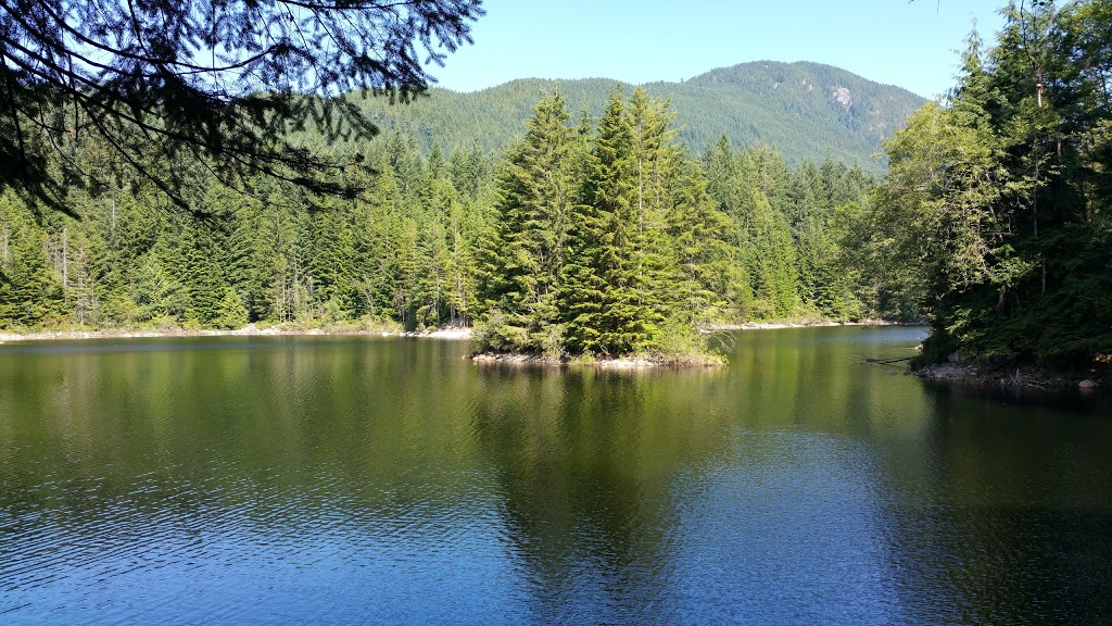 Lynn Canyon Ecology Centre | 3663 Park Rd, North Vancouver, BC V7J 3G3, Canada | Phone: (604) 990-3755