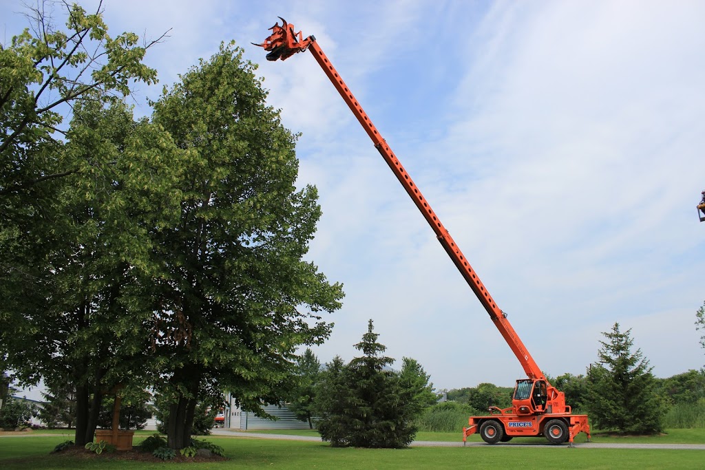 Truly Canadian Tree Service | 12274 Brawn Rd, Wainfleet, ON L0S 1V0, Canada | Phone: (905) 734-5703