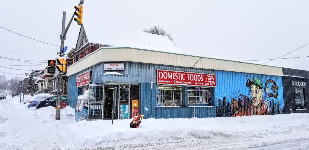 Domestic Foods | 595 Gladstone Ave, Ottawa, ON K1R 5P2, Canada | Phone: (613) 230-5427