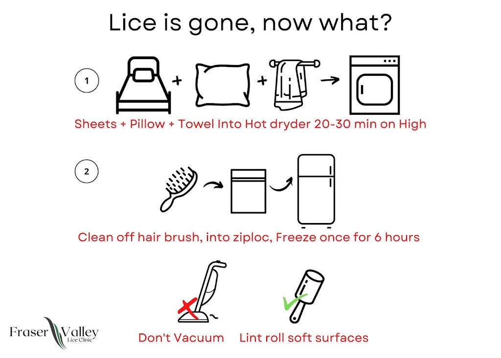 Fraser valley lice clinic | 1636 Vimy Rd, Agassiz, BC V0M 1A2, Canada | Phone: (604) 749-7497