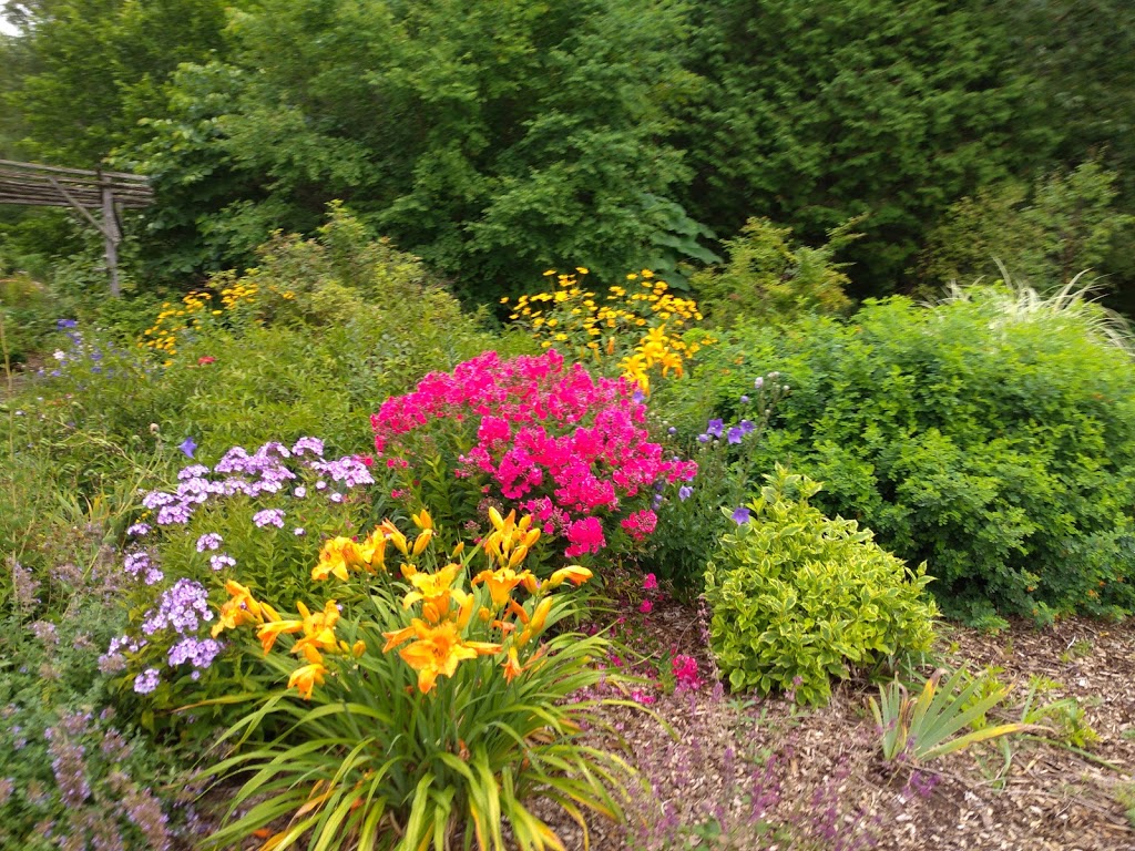 Annas Perennials | 63 Shoreview Road, Lindsay, ON K9V 4R5, Canada | Phone: (705) 799-0062