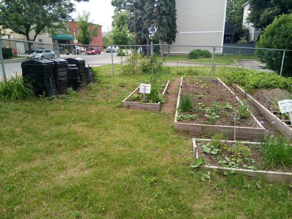 Lowertown Community Garden | 1G1, Patro St, Ottawa, ON K1N 1G1, Canada | Phone: (613) 789-3930