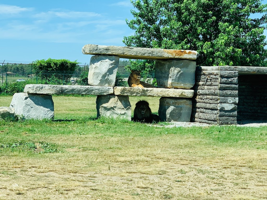 Cambridge New Hope Cemetery | Cooper Rd, Cambridge, ON N1R 5S2, Canada | Phone: (519) 658-4366