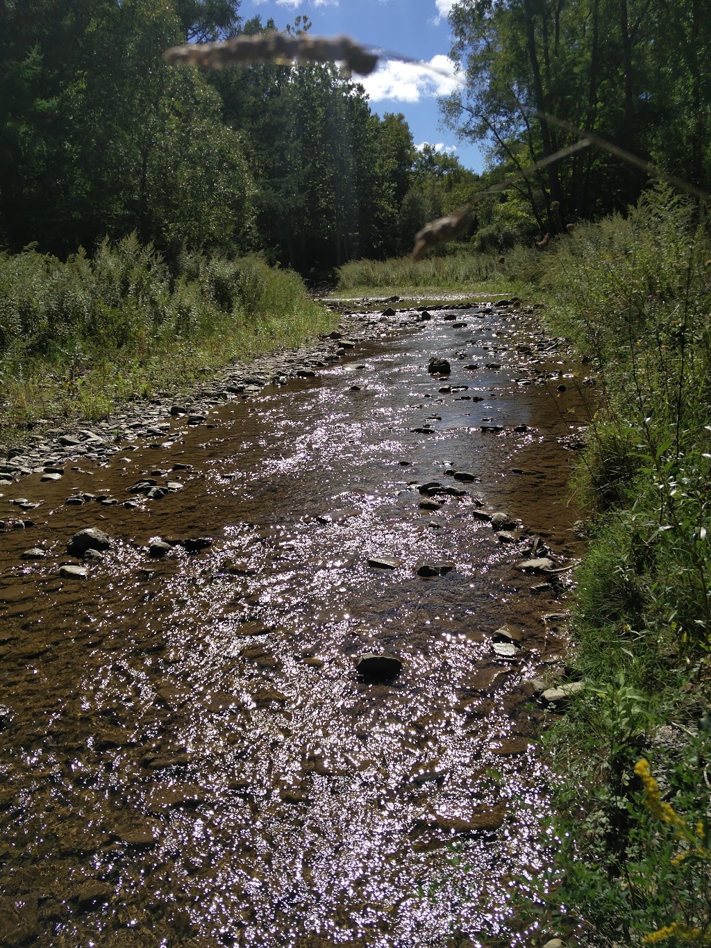 Francis Danter Memorial Park | Langford-New Oregon Rd, North Collins, NY 14111, USA