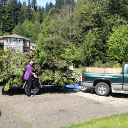 Mowglis Rubbish Removal | Shook Rd, Mission, BC V2V 7M1, Canada | Phone: (604) 768-7877