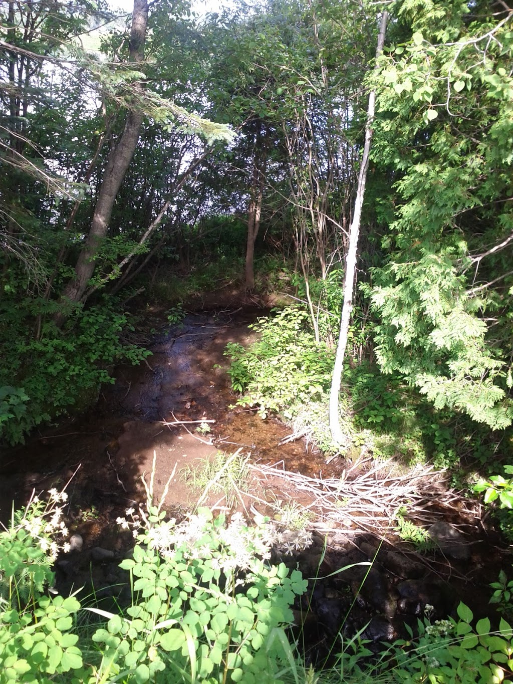 Portneuf wildlife reserve | 229 Rue du Lac Vert, Rivière-à-Pierre, QC G0A, Canada | Phone: (800) 665-6527