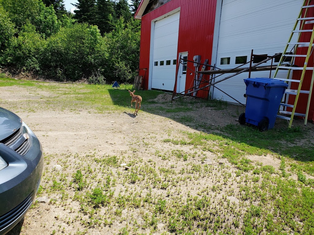 Ferme Jean-Robert Audet | 75 ruisseau des frênes, La Malbaie, QC G5A 2C9, Canada | Phone: (418) 633-6195