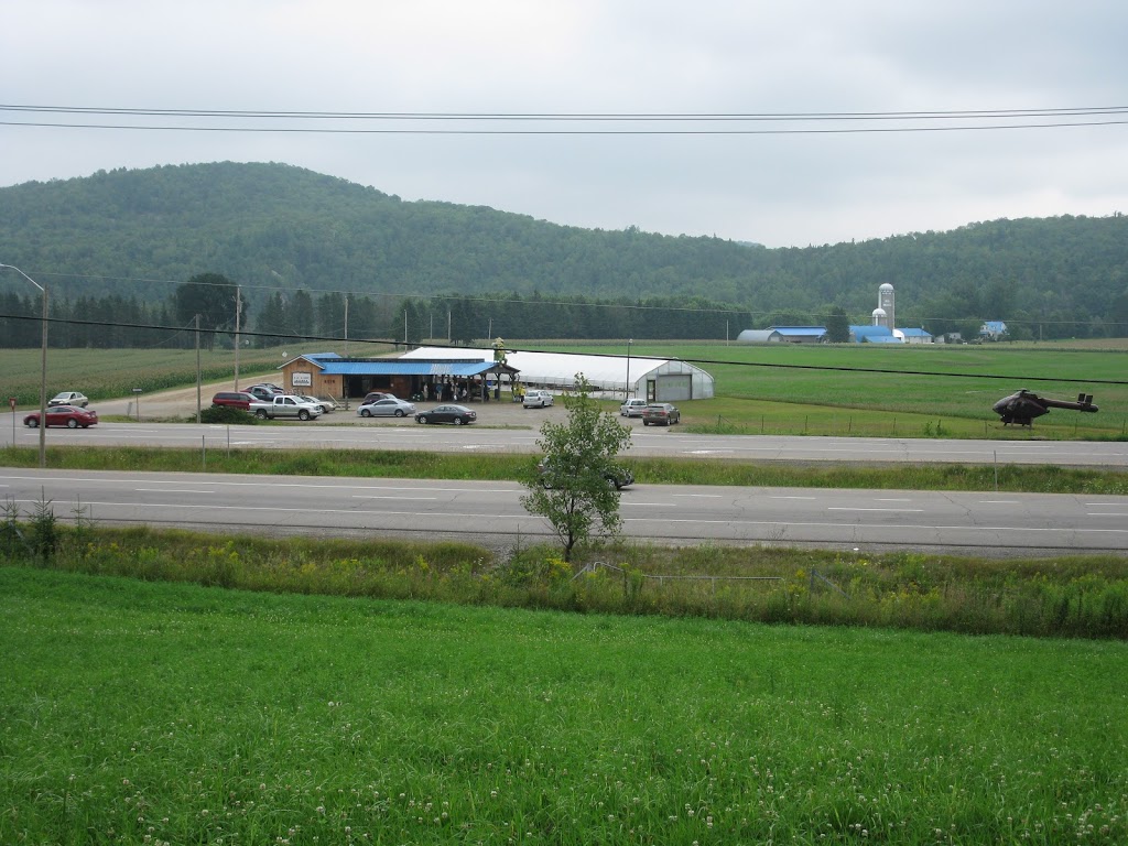 Kiosque de la Ferme Louiselle & Gaetan Brassard | 2415 Chemin des Glaïeuls, La Conception, QC J0T 1M0, Canada | Phone: (819) 686-5193