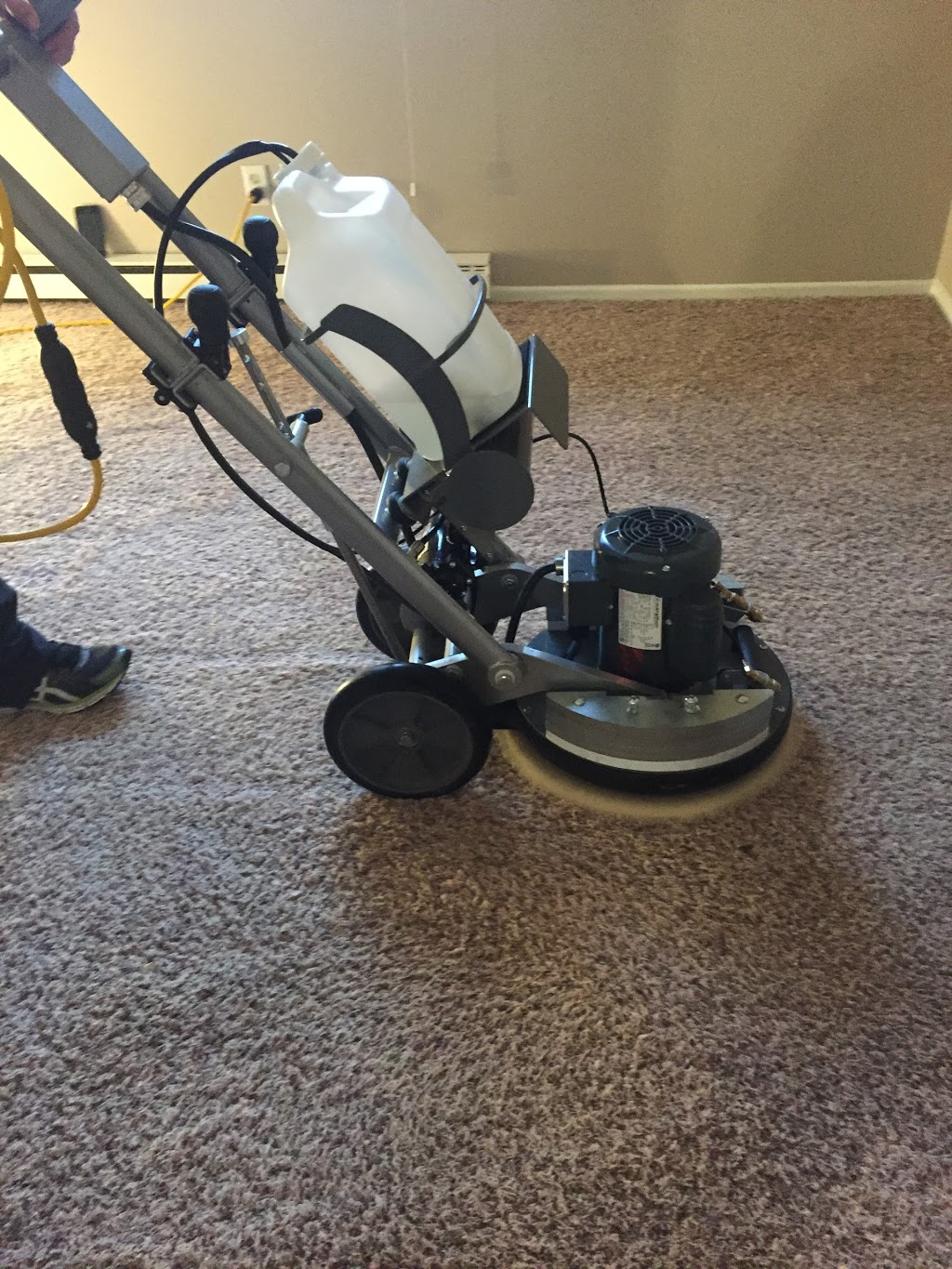 Fresh Now Carpet Care | 116 Purdy Rd, Bath, ON K0H 1G0, Canada | Phone: (613) 929-7212