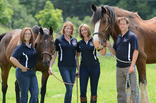 Dreamwinds Equine Assisted Learning Centre | 2800 Line 10, Bradford, ON L3Z 2A5, Canada | Phone: (289) 231-6775