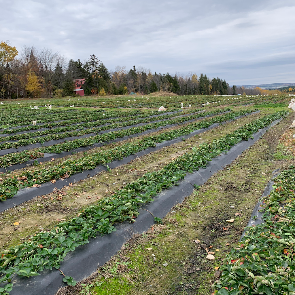 Ferme St-Élie | 2073 Chemin Dion, Sherbrooke, QC J1R 0R8, Canada | Phone: (819) 829-3917