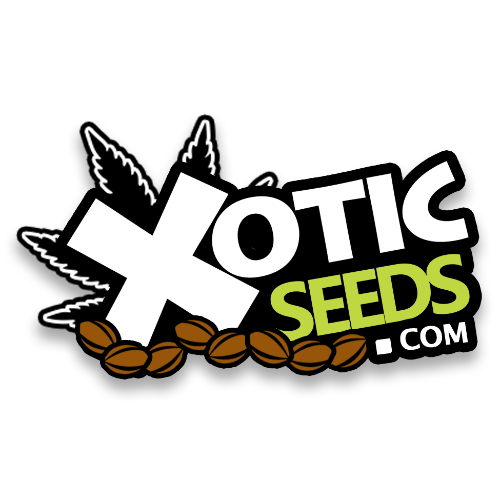 Xotic Seeds | 40 Regan Road #12 #B, Brampton, ON L7A 1B3, Canada | Phone: (905) 840-4408