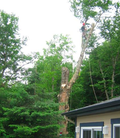 Arboriculture P.L.Lavoie. Élagage Émondage | 2225 route 125 Sud, Saint-Donat, QC J0T 2C0, Canada | Phone: (819) 507-0075