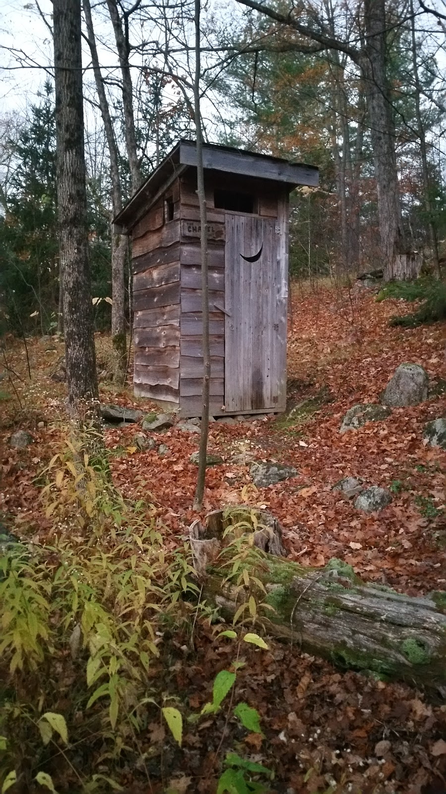 Beaver Pond Estates Tree Farm | 3656 Bolingbroke Rd, Maberly, ON K0H 2B0, Canada | Phone: (613) 273-5683