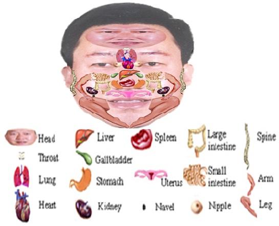 Cheerywe Health Centre | 27 Murray Ave, Scarborough, ON M1S 2A1, Canada | Phone: (416) 757-0158