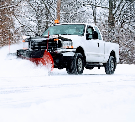 Majestic Maple Tree Service & Property Maintenance Ltd. | 15 Prouse Dr, Brampton, ON L6V 3A3, Canada | Phone: (289) 752-6222