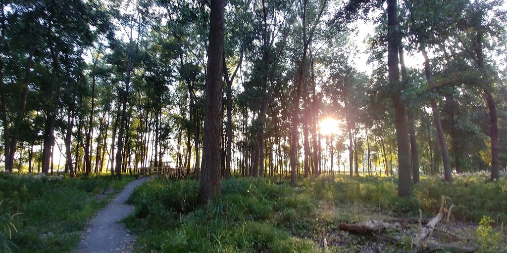 Times Beach Nature Preserve | Coast Guard Station S Rd, Buffalo, NY 14203, USA | Phone: (716) 896-1271