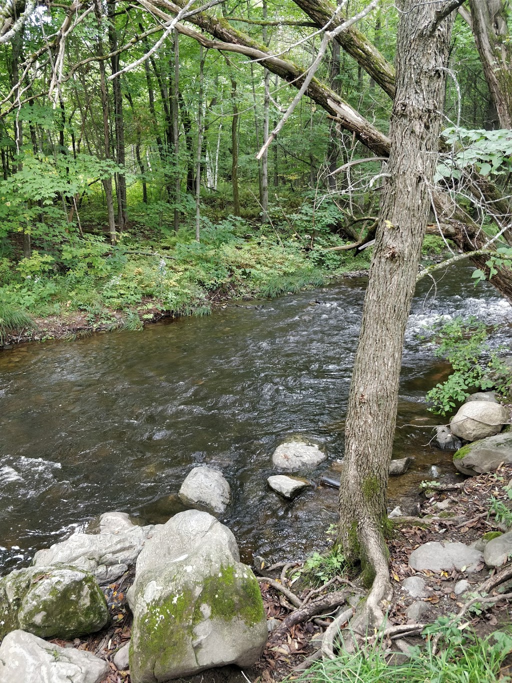 parc de la Rivière-aux-Cerises | 2304 Chemin du Parc, Orford, QC J1X 7A2, Canada