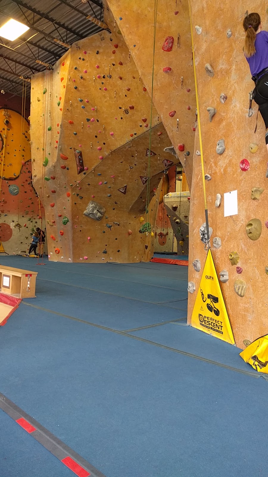 Toronto Climbing Academy | 11 Curity Ave, East York, ON M4B 1X4, Canada | Phone: (416) 406-5900