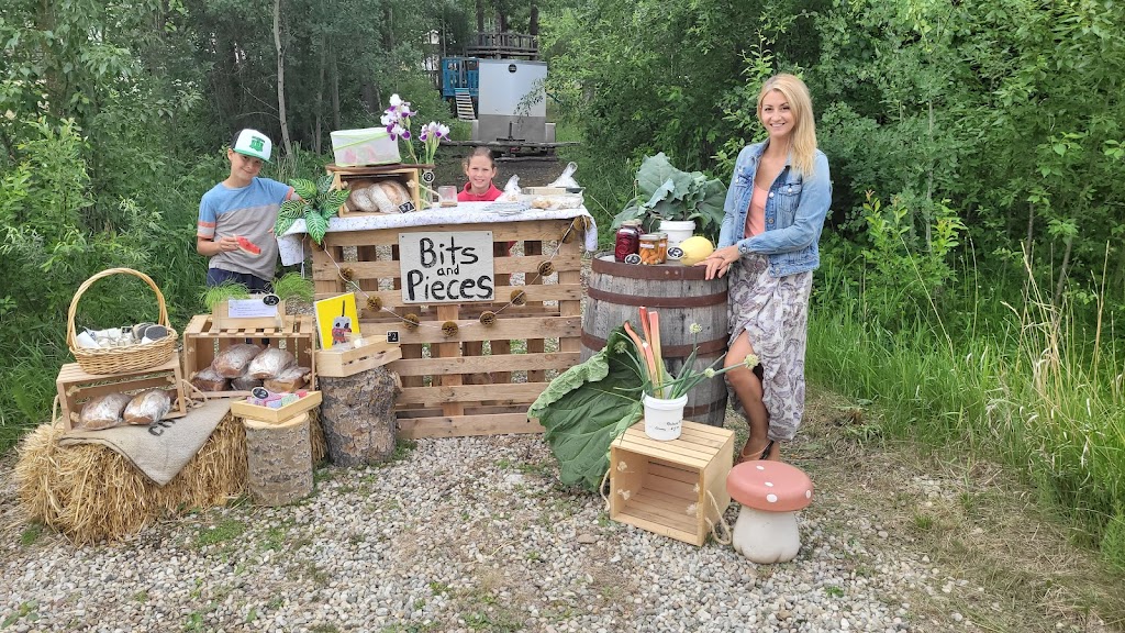 Bits and Pieces Farm Stand | 49379 rr 212 #101, Hay Lakes, AB T0B 1W0, Canada | Phone: (403) 869-1124