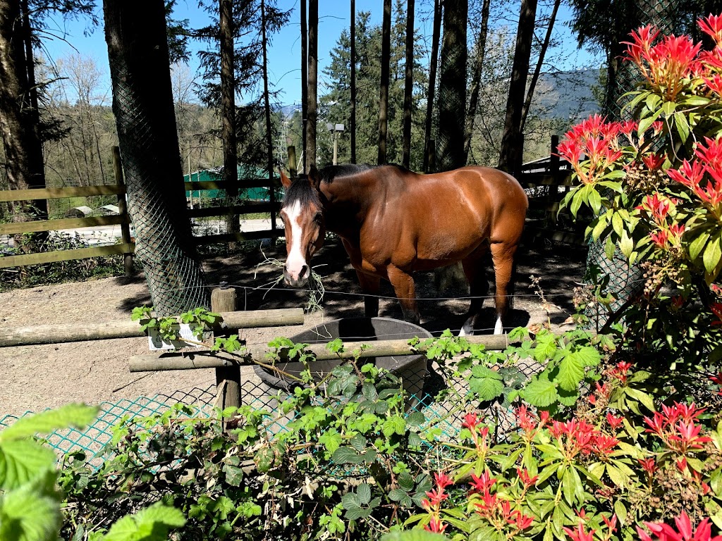 North Shore Equestrian Centre | 1301 Lillooet Rd, North Vancouver, BC V7J 2J1, Canada | Phone: (604) 988-5131