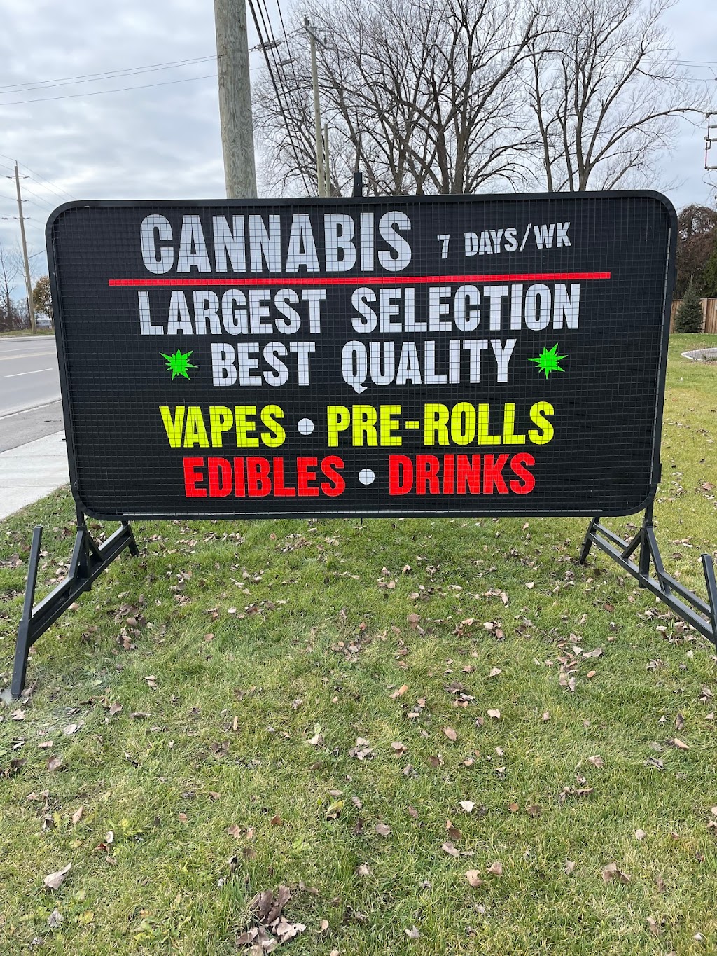 Cannaverse | 23 George Wright Blvd, Prince Edward, ON K0K 2T0, Canada | Phone: (613) 517-0242