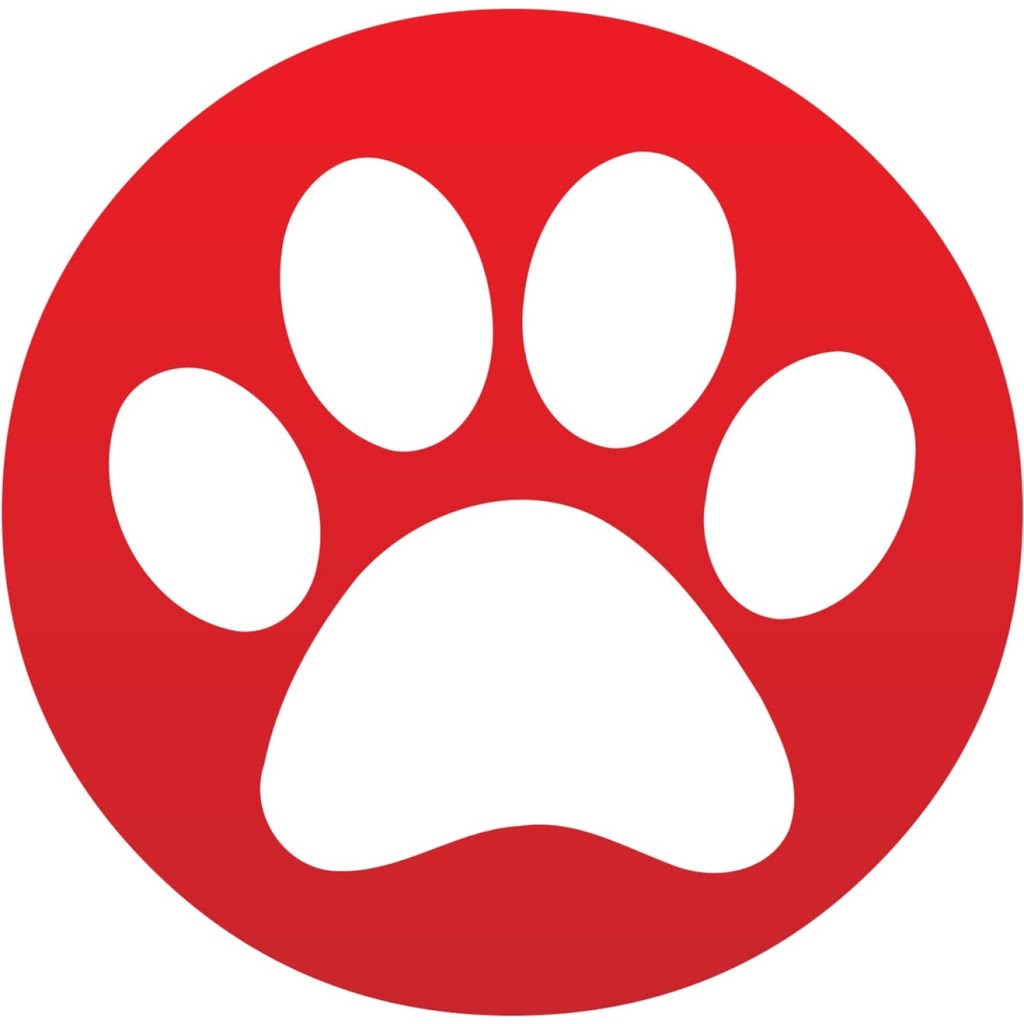 Good Dog Digital | 40 Torlake Crescent, Etobicoke, ON M8Z 1B3, Canada | Phone: (647) 493-3200