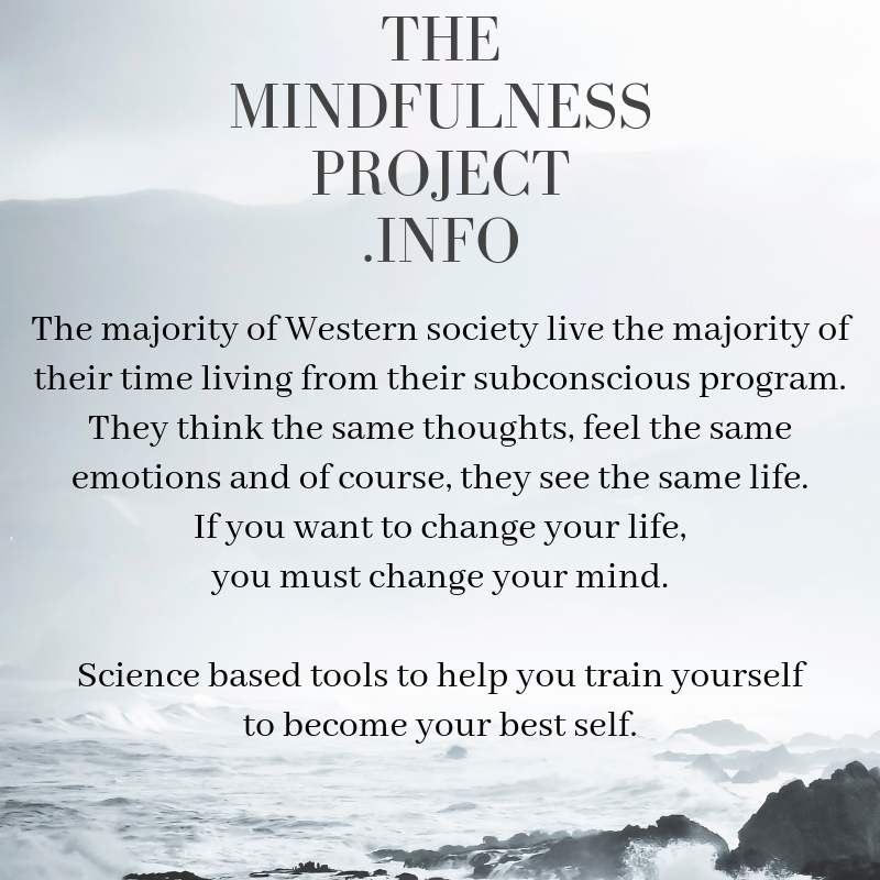 Stephanie Escott - The Mindfulness Project | 570 Rose Ave, Peterborough, ON K9J 4E7, Canada | Phone: (613) 847-2090