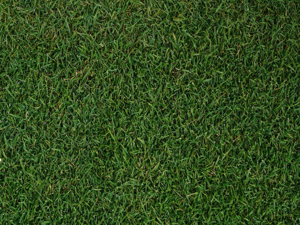 Manderley Turf Products Calgary | 3090 52 St SE, Calgary, AB T2B 1N2, Canada | Phone: (888) 225-3885