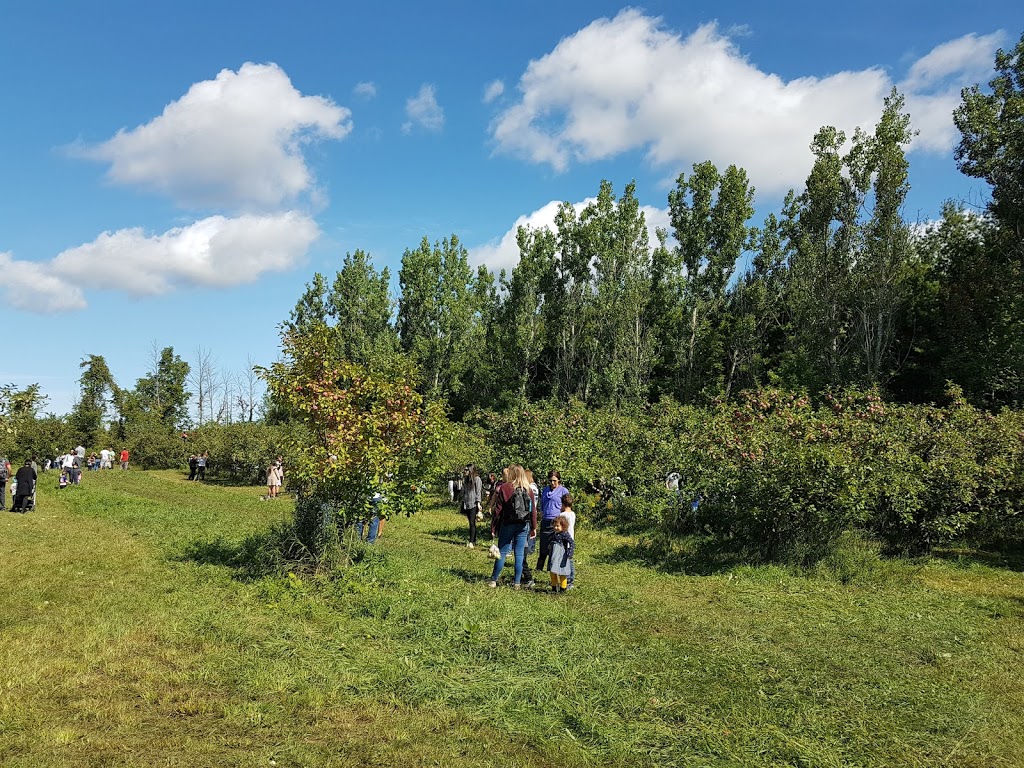 Log Cabin Orchard, closed until august 2021 | 6121 Cabin Rd, Osgoode, ON K0A 2W0, Canada | Phone: (613) 826-5081