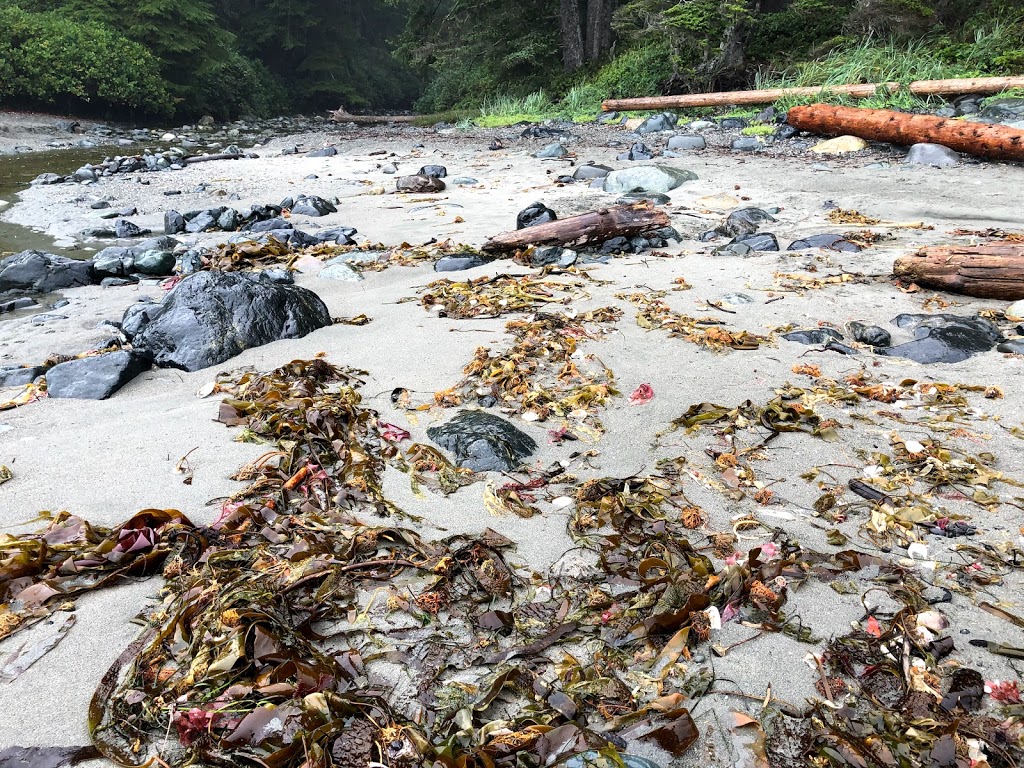 Second Beach | Juan de Fuca, BC V0S, Canada