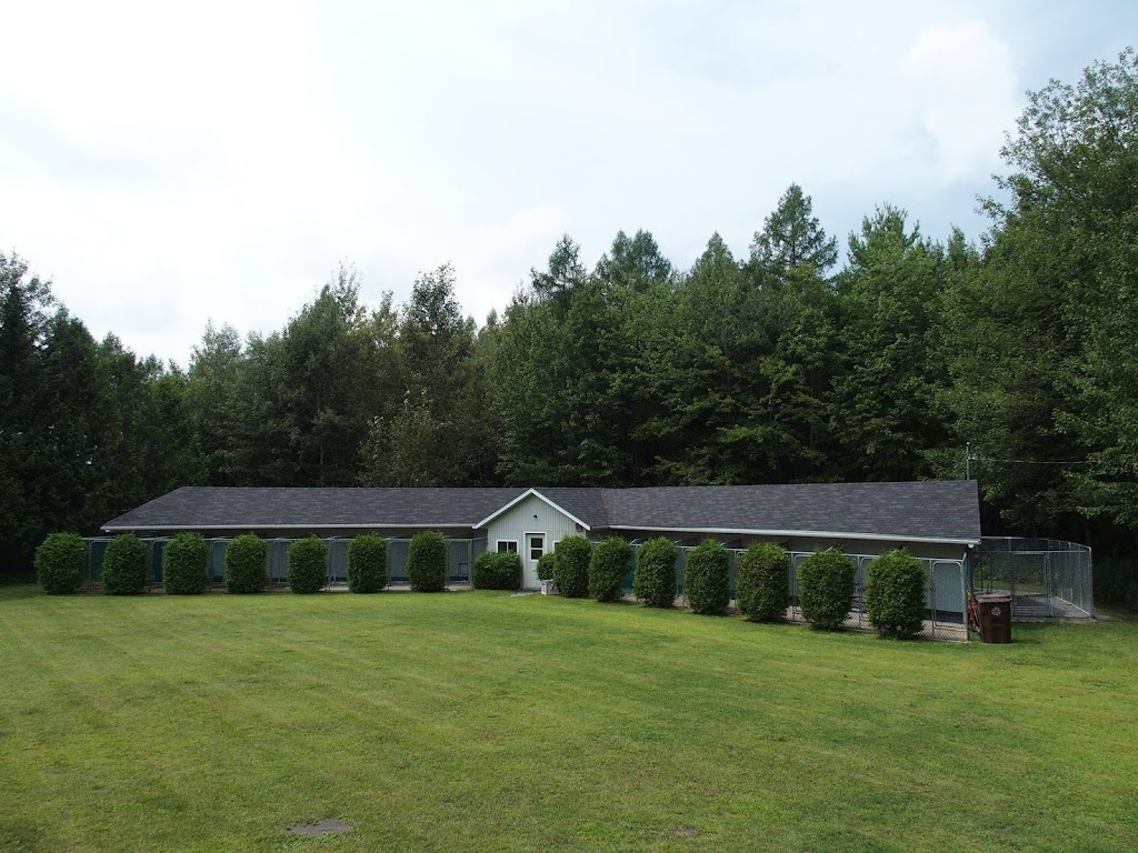 Pension Animalou | 175 Chem. Grande Ligne, Sainte-Sophie, QC J5J 1A6, Canada | Phone: (514) 434-1473