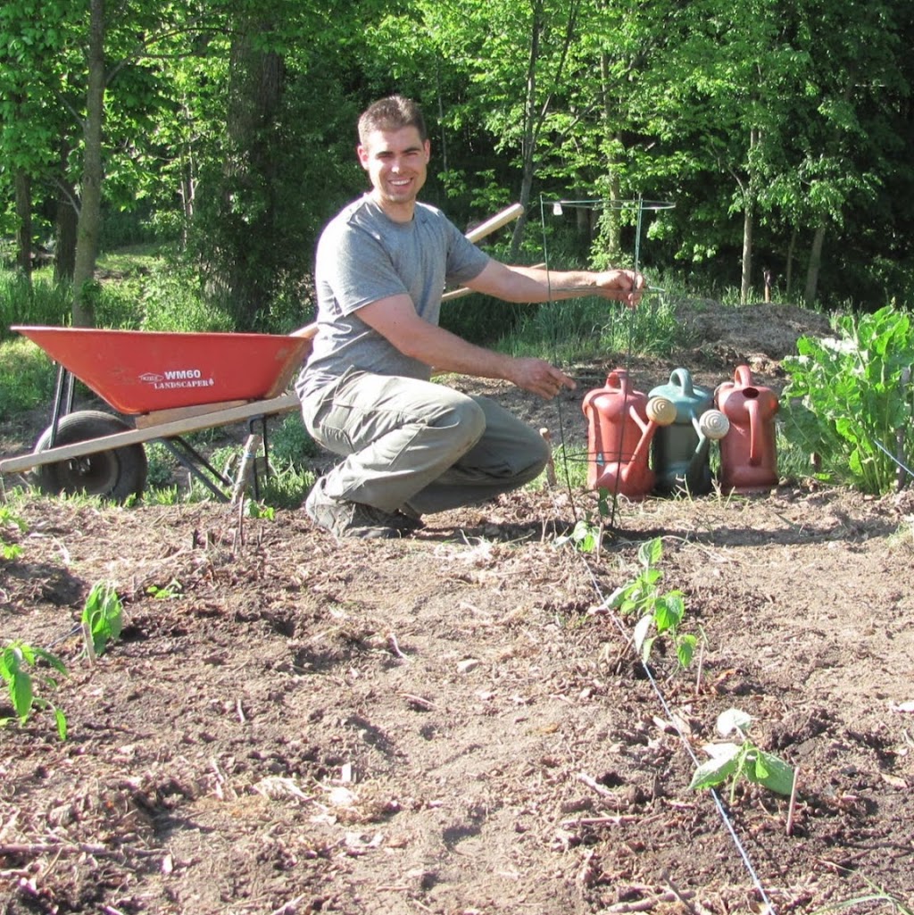 Corwhin Herbs and Produce | 4402 Concession Rd 11, Moffat, ON N0B 2J0, Canada | Phone: (519) 223-1287