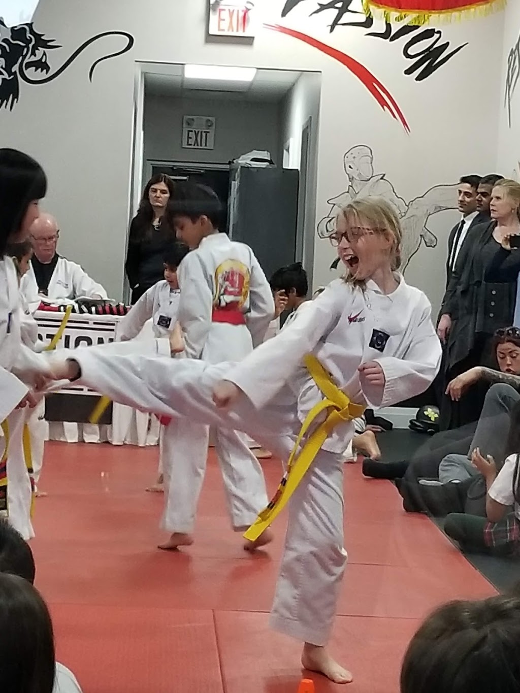 OMAC Martial Arts Trafalgar | 2427 Trafalgar Rd, Oakville, ON L6H 6Z9, Canada | Phone: (905) 257-1088