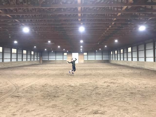 Mane Attraction Stables | 32277, Range Rd 13, Olds, AB T4H 1T8, Canada | Phone: (403) 990-0786