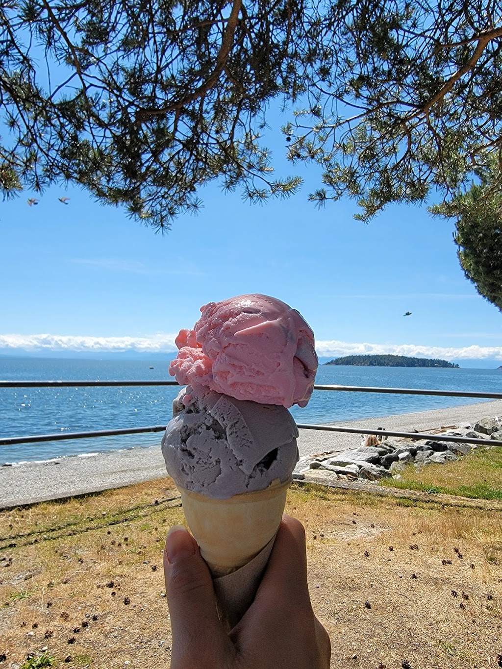 e.b.s Ice Cream Shop | 5482 Wharf Ave, Sechelt, BC V0N 3A0, Canada | Phone: (778) 318-0344