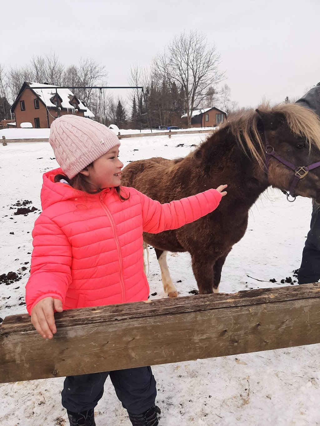 La ferme mille fleurs | 929 rang 9, Saint-Lazare-de-Bellechasse, QC G0R 3J0, Canada | Phone: (418) 882-7401